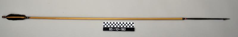 54065