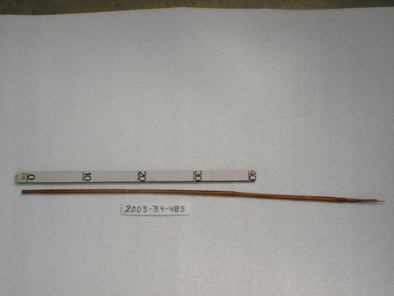 55460