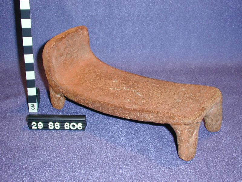 55496