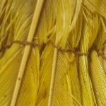 60704
