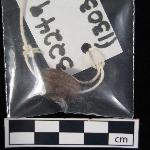 63274