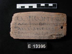 E13395