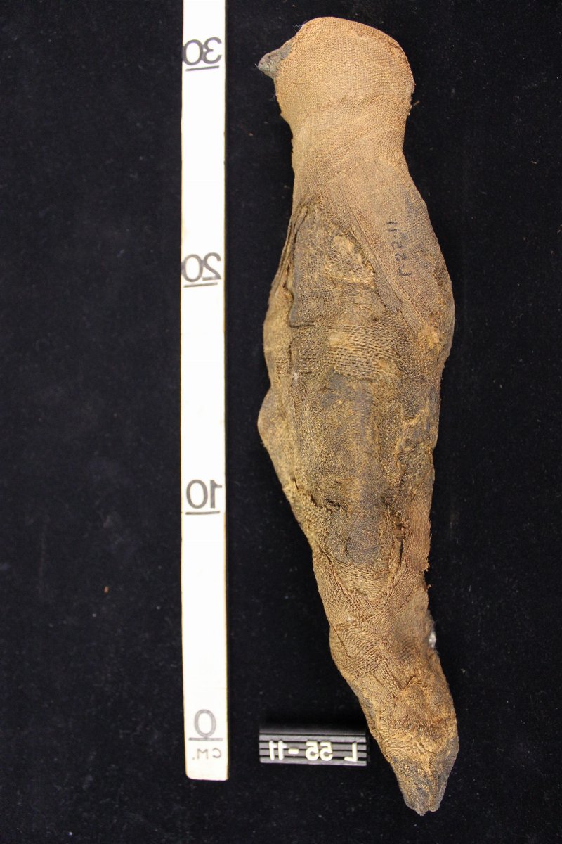 64267