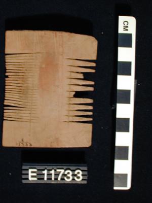 E11733
