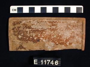 E11746