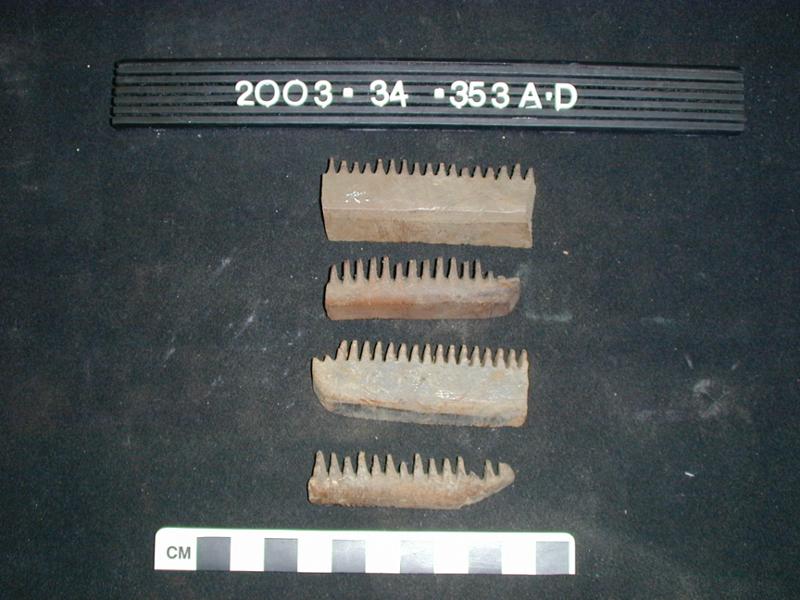 64818