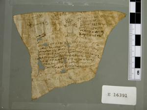 E16391