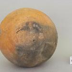 69525
