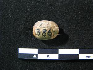 E386