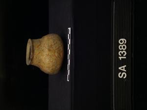 SA1389