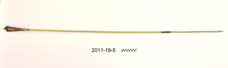 78665