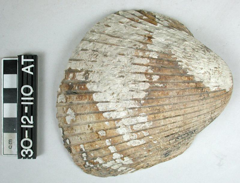 79182