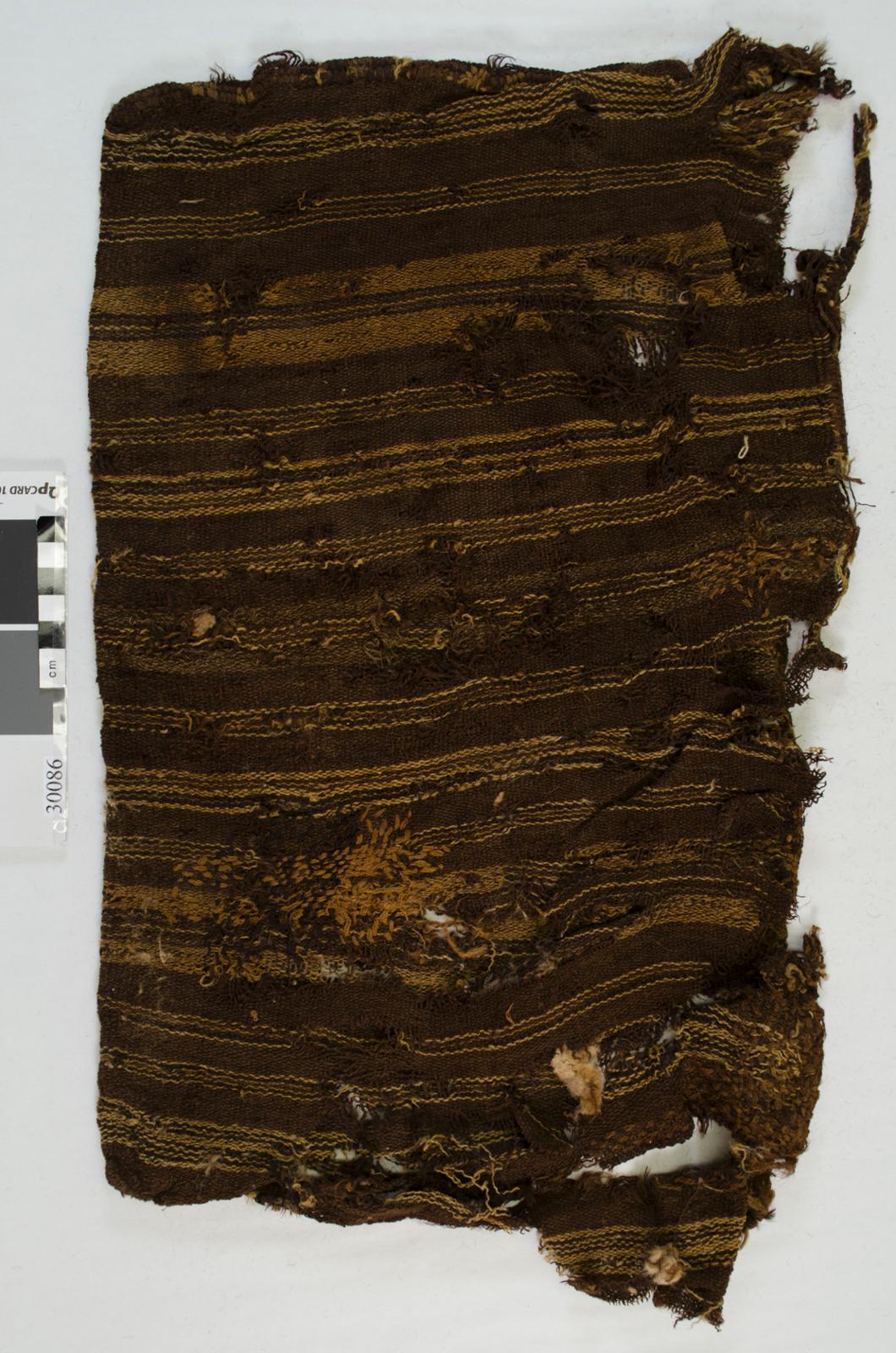 81601