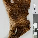 82063