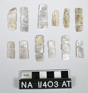 NA11403.1