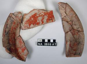 NA11698