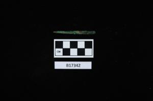 B17342