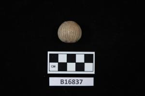 B16837