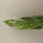 96757
