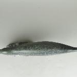 96909