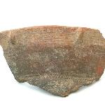 97736