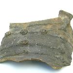 98662