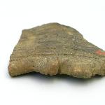98683