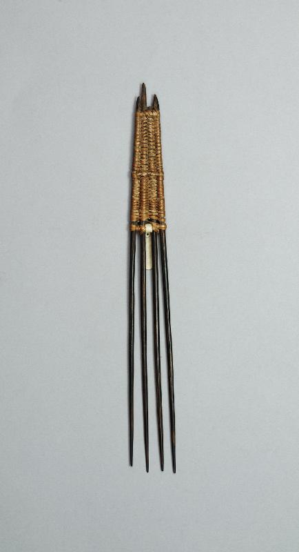 99223