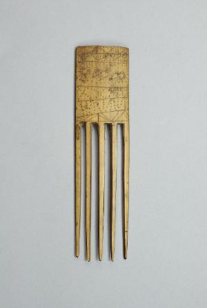 P2631