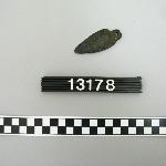 99564