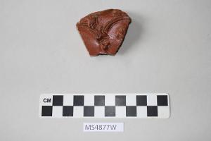 MS4877W