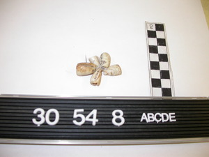 30-54-8C