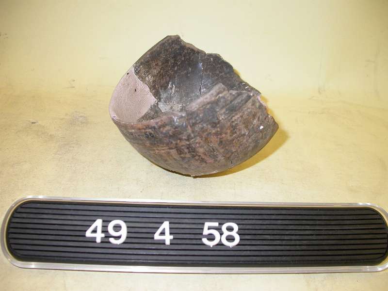 103602