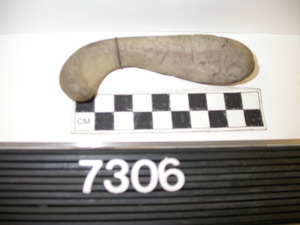 7306