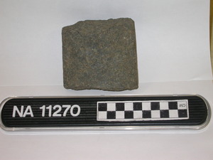 NA11270