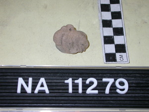 NA11279