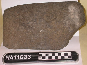 NA11033