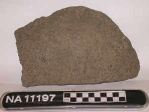 NA11197