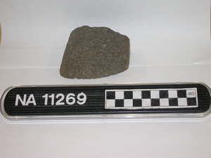 NA11269
