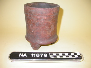 NA11879
