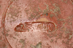 MS2161U