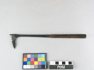 P252