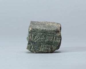CBS9561