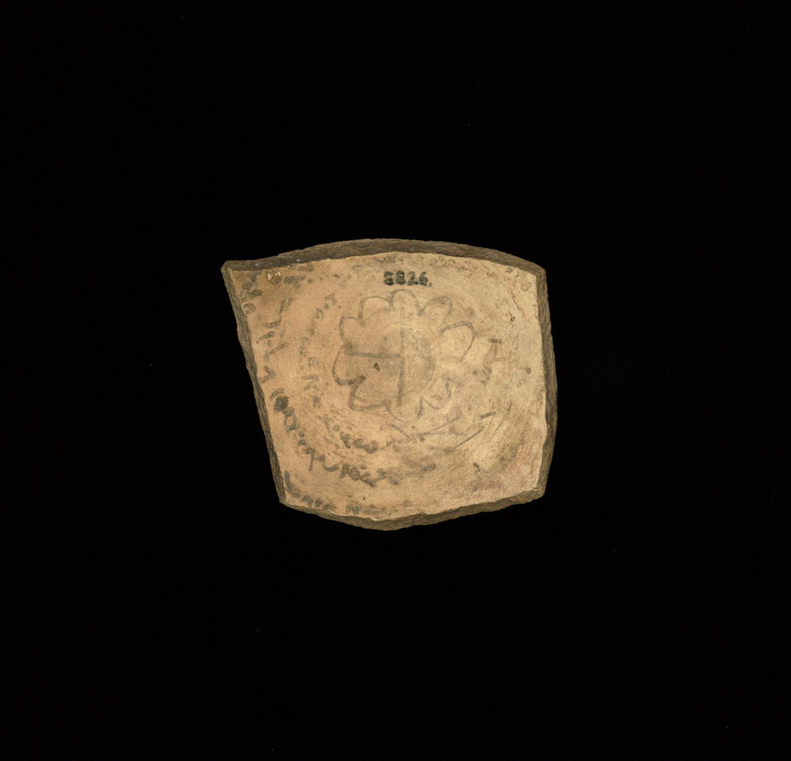 119076