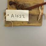 119498