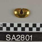119602