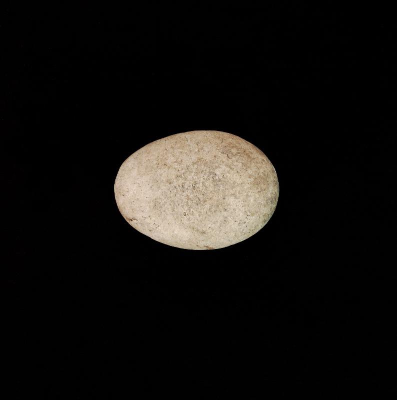 120264