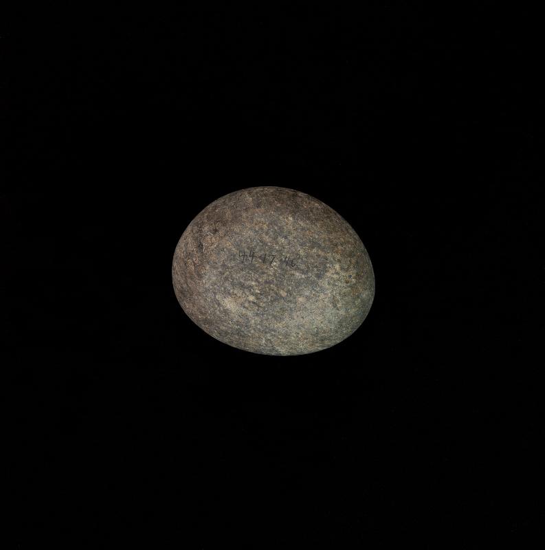 120317