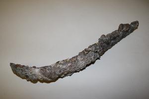 MS337