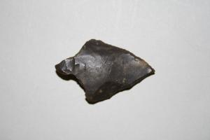 MS339